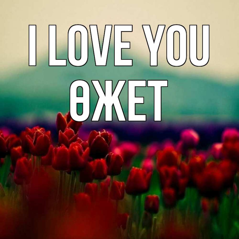 Greetings card с именем, ӨЖЕТ I love you тюльпаны 4 Greetings with text for free download 