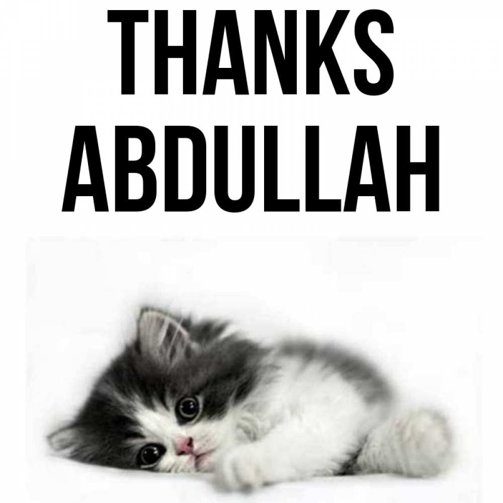 Greetings card с именем, Abdullah Thanks черный и белый кот Greetings with text for free download 