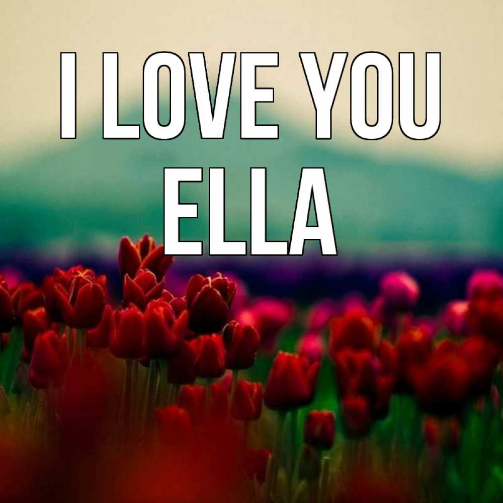 Greetings card с именем, Ella I love you тюльпаны 4 Greetings with text for free download 