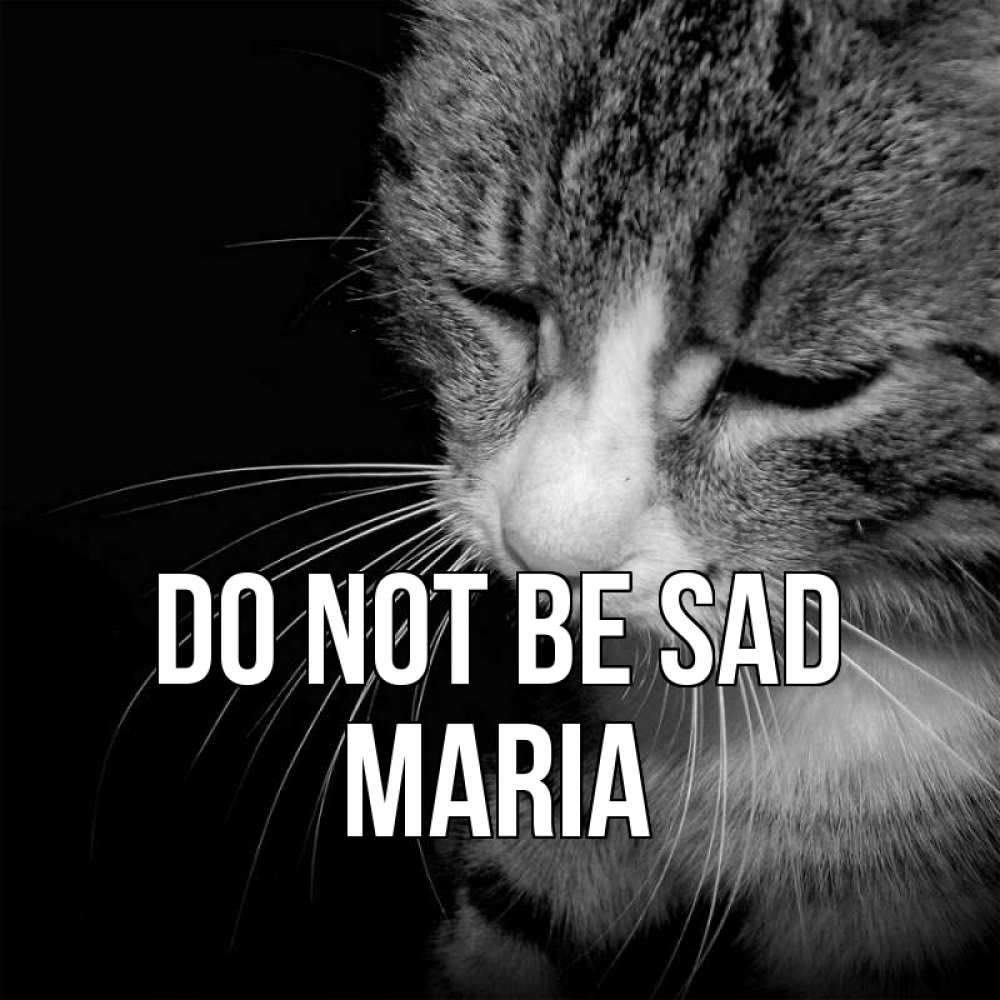 Greetings card с именем, Maria Do not be sad грустный котик Greetings with text for free download 