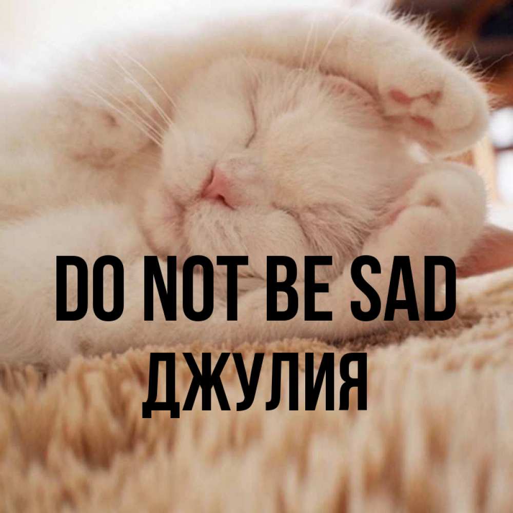 Greetings card с именем, Джулия Do not be sad Котенок спит Greetings with text for free download 