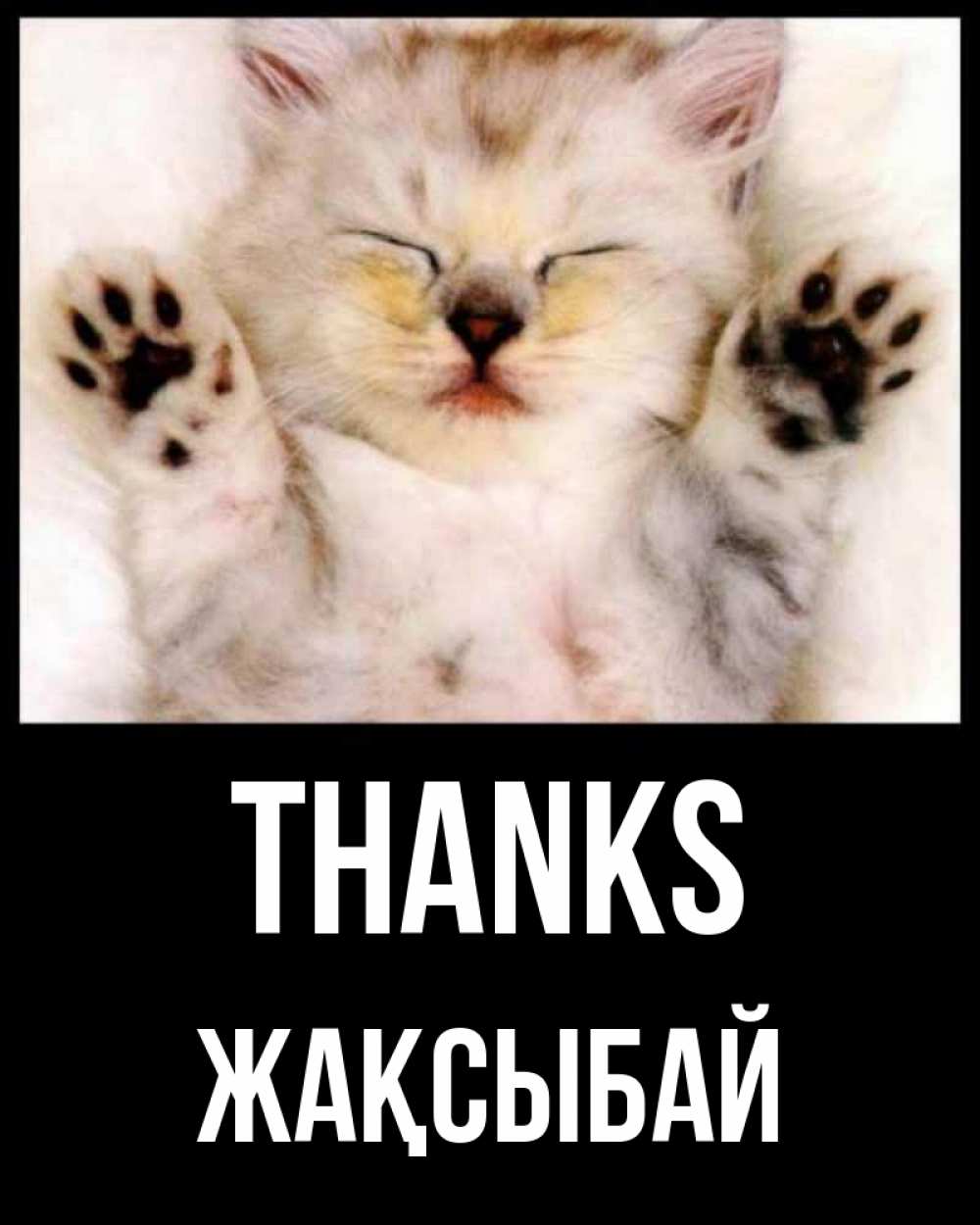 Greetings card с именем, Жақсыбай Thanks маленький котенок Greetings with text for free download 