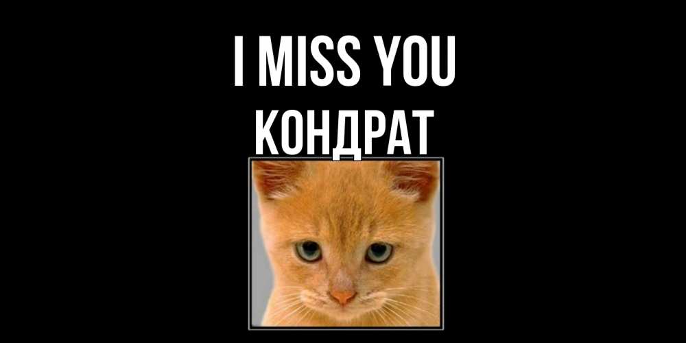 Greetings card с именем, Кондрат I miss you открытки рыжий котенок скучает по тебе Greetings with text for free download 