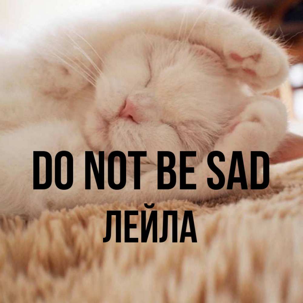 Greetings card с именем, Лейла Do not be sad Котенок спит Greetings with text for free download 