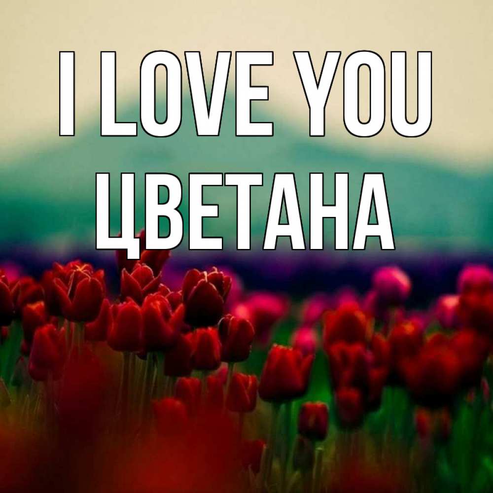 Greetings card с именем, Цветана I love you тюльпаны 4 Greetings with text for free download 