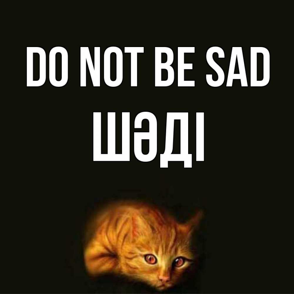 Greetings card с именем, ШӘДІ Do not be sad лежащий кот в темноте Greetings with text for free download 