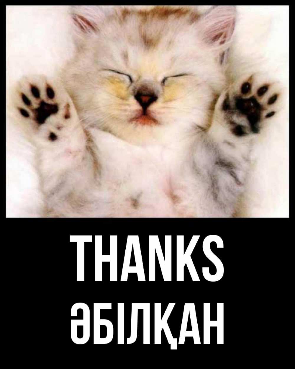 Greetings card с именем, Әбілқан Thanks маленький котенок Greetings with text for free download 