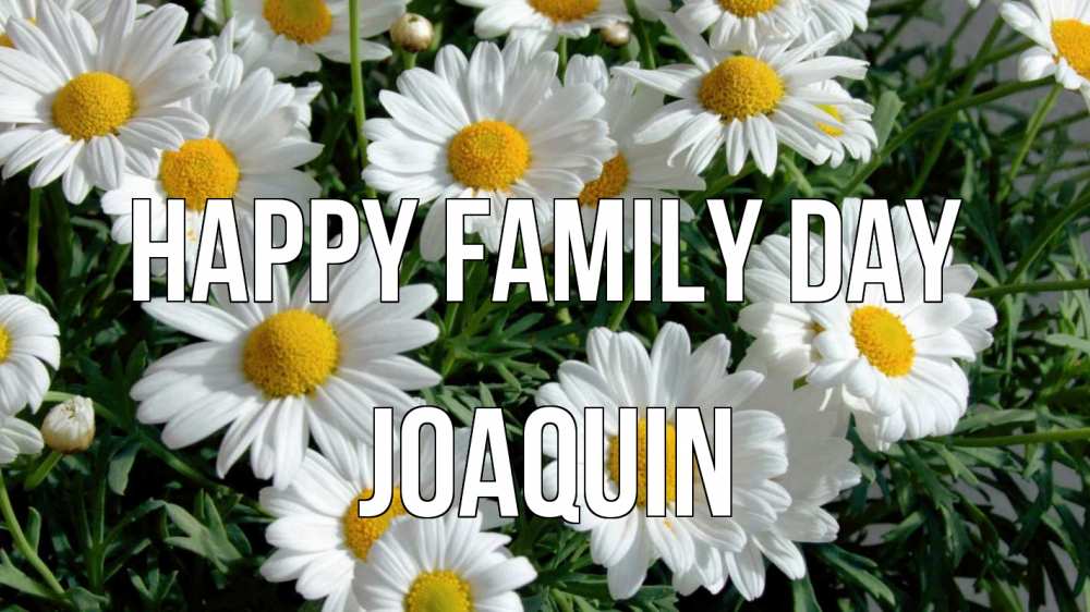 Greetings card с именем, Joaquin happy family day с днем семьи Greetings with text for free download 