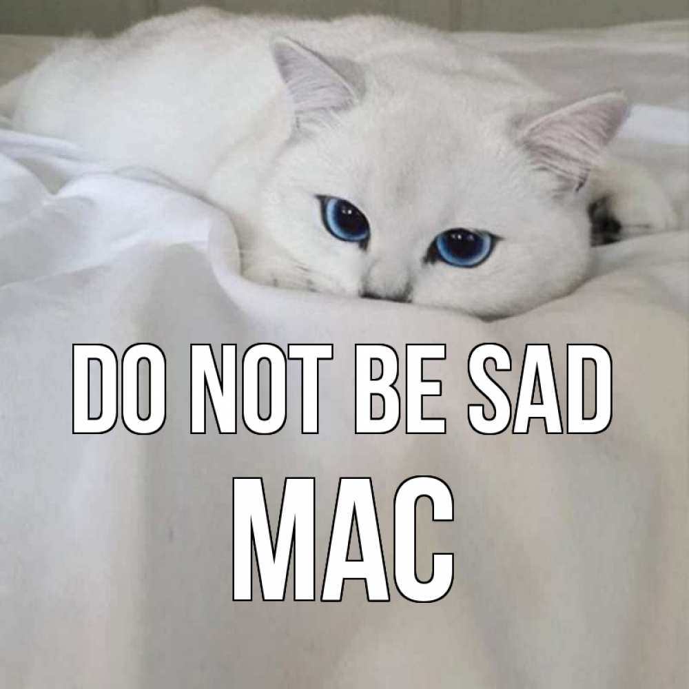 Greetings card с именем, Mac Do not be sad белый кот с голубыми глазами на белоснежной кровати Greetings with text for free download 