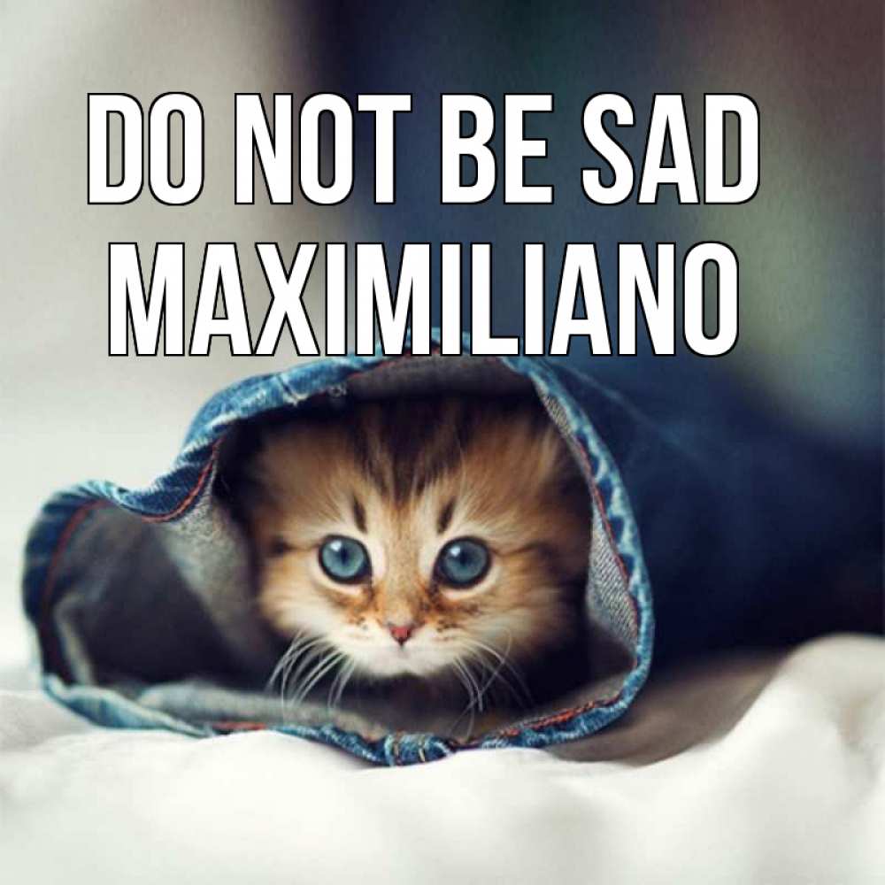 Greetings card с именем, Maximiliano Do not be sad рыжик котик Greetings with text for free download 