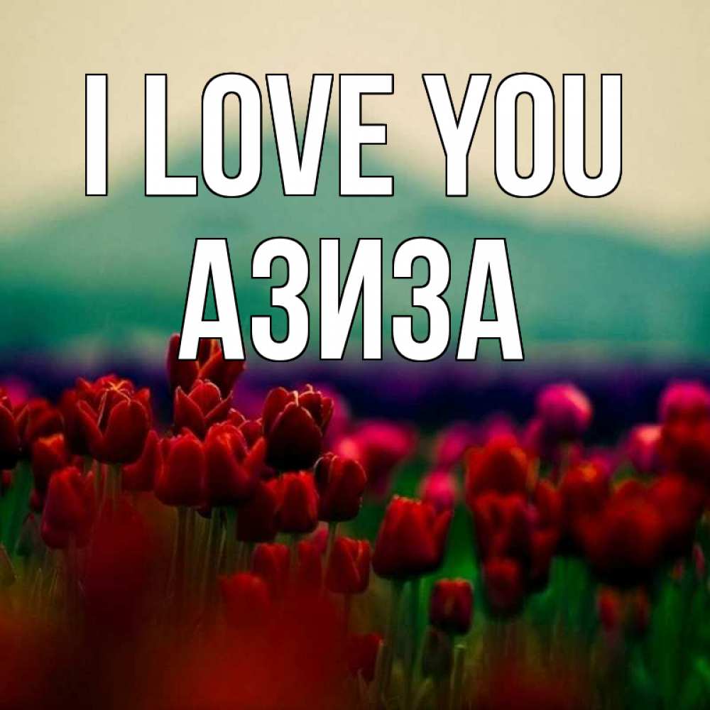 Greetings card с именем, Азиза I love you тюльпаны 4 Greetings with text for free download 