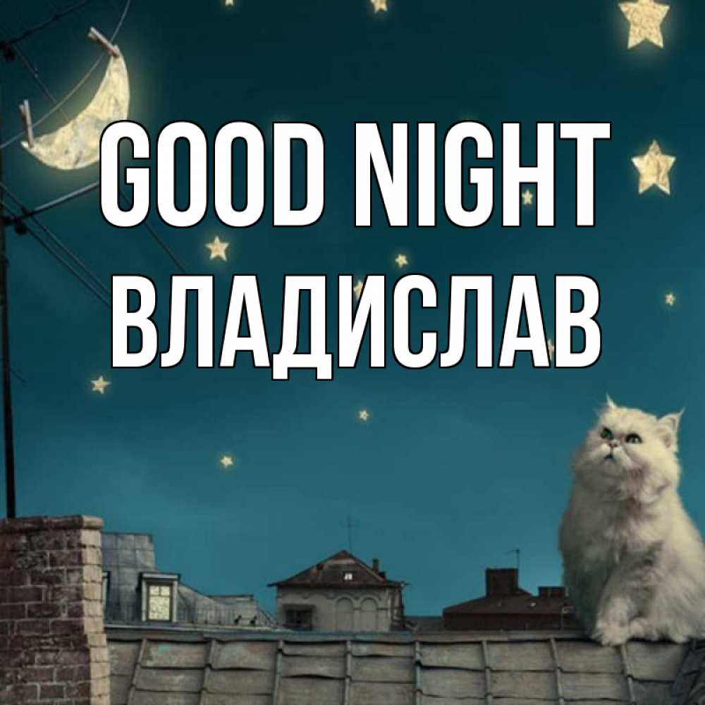 Greetings card с именем, Владислав Good night белый кот сидит на крыше Greetings with text for free download 