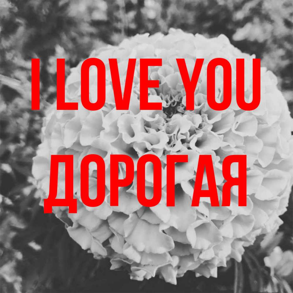 Greetings card с именем, Дорогая I love you подпись Greetings with text for free download 