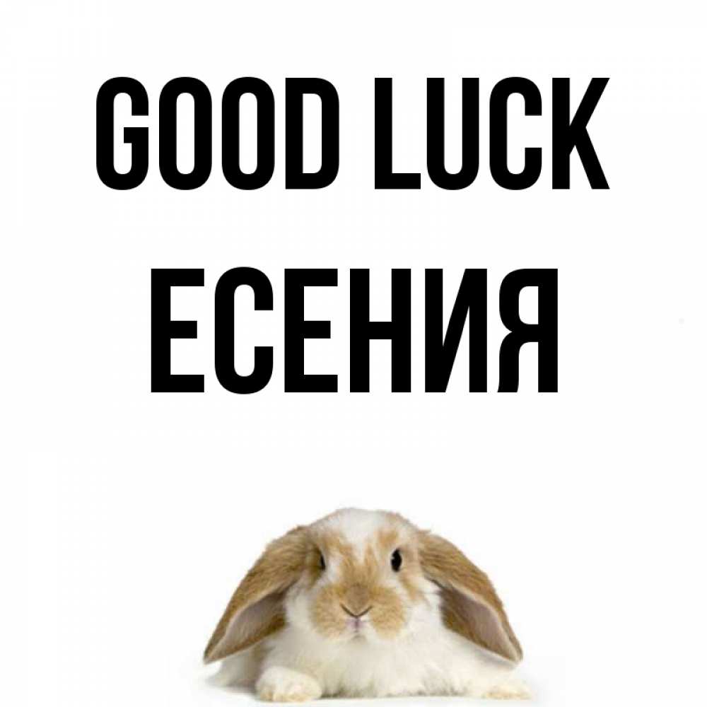 Greetings card с именем, Есения Good luck открытки с произвольным текстом который можно вставить в открытку и создать ее самостоятельно бесплатно онлайн Greetings with text for free download 