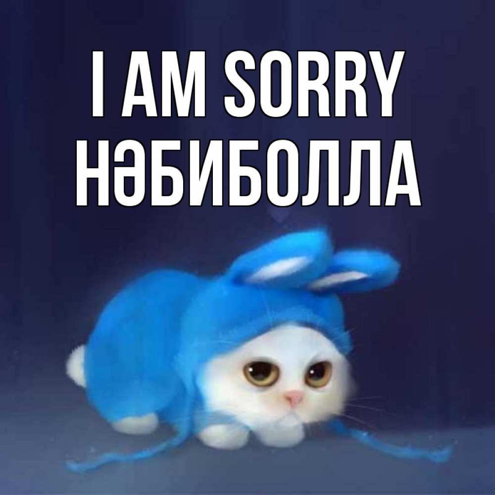 Greetings card с именем, НӘБИБОЛЛА I am sorry невинный котозай просит прощения Greetings with text for free download 