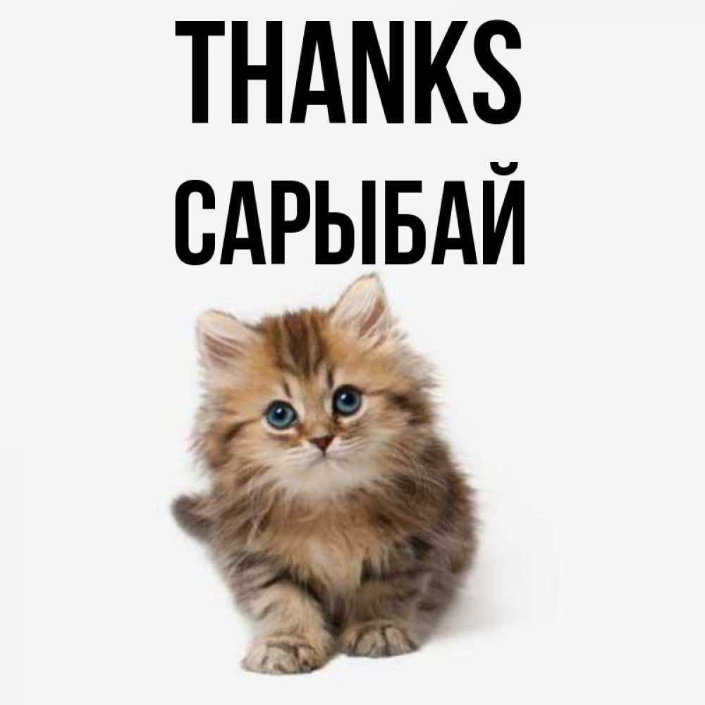 Greetings card с именем, САРЫБАЙ Thanks пушистый котик Greetings with text for free download 