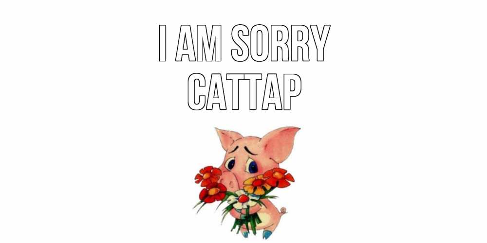 Greetings card с именем, САТТАР I am sorry открытка с поросей которая просит прощения Greetings with text for free download 