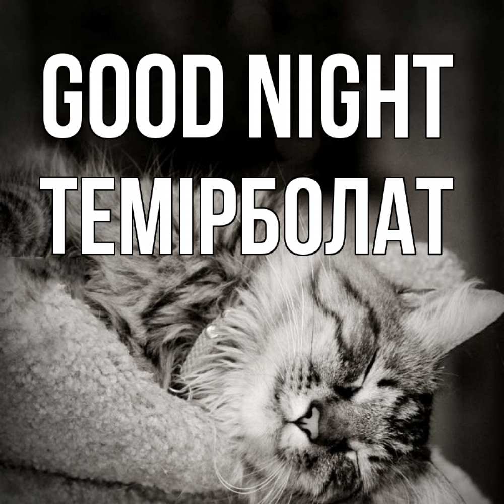 Greetings card с именем, ТЕМІРБОЛАТ Good night котярик пушистый Greetings with text for free download 