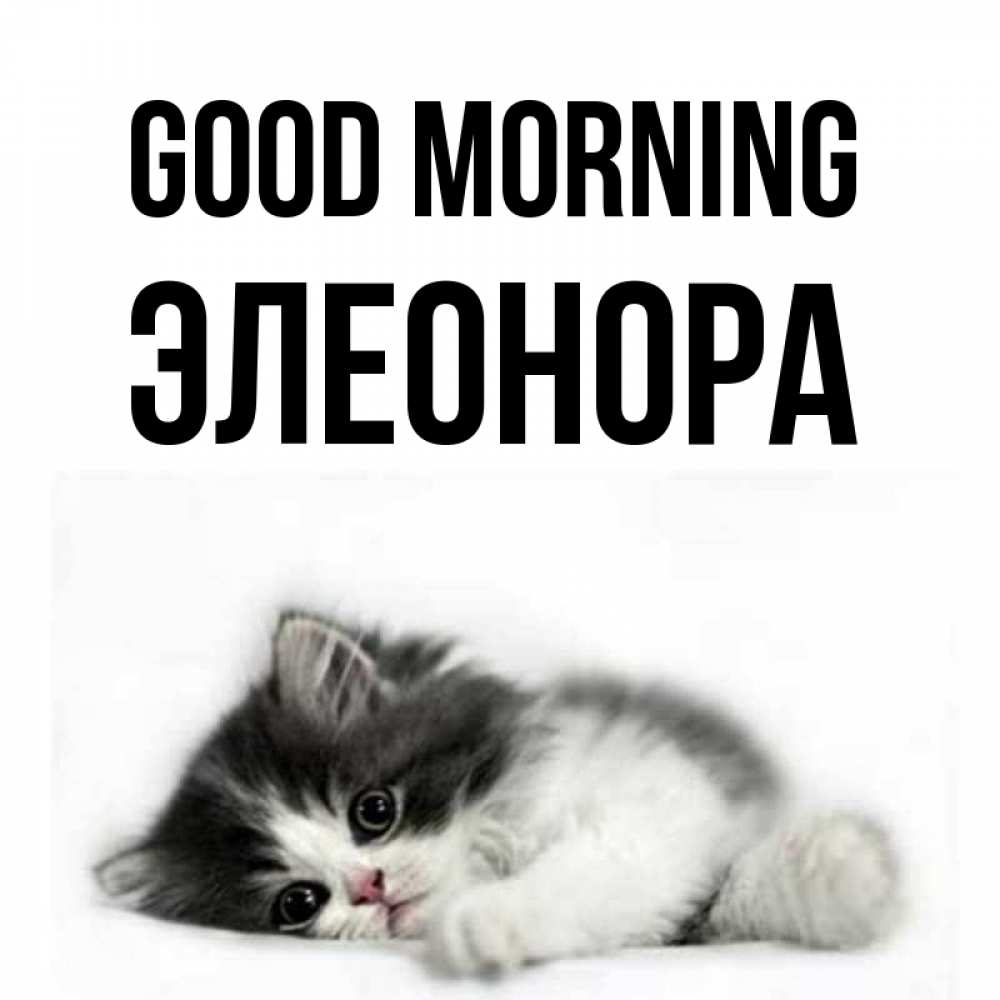 Greetings card с именем, Элеонора Good morning кот лапки Greetings with text for free download 