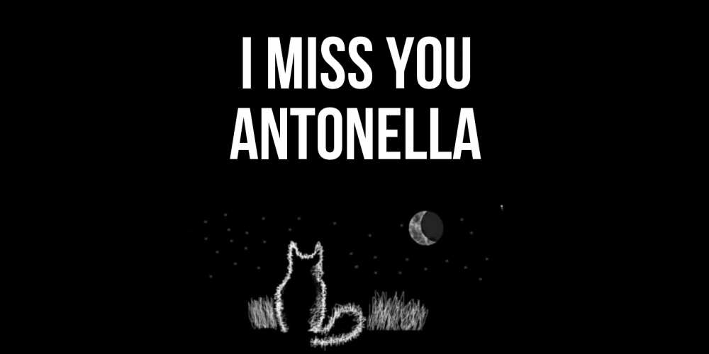 Greetings card с именем, Antonella I miss you кот Greetings with text for free download 