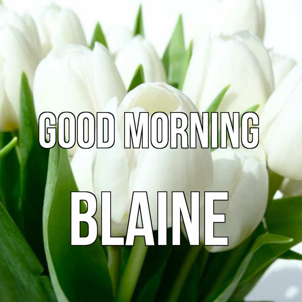 Greetings card с именем, Blaine Good morning открытки на каждый день по именам Greetings with text for free download 