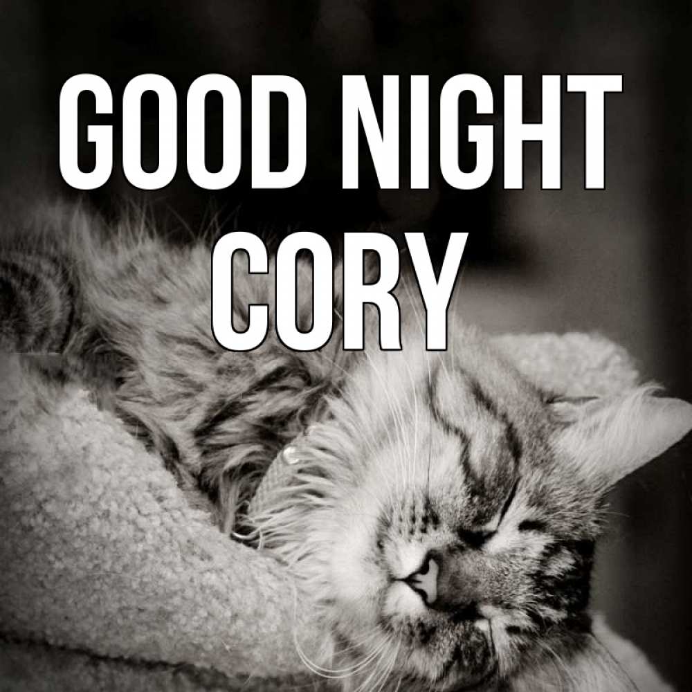 Greetings card с именем, Cory Good night котярик пушистый Greetings with text for free download 