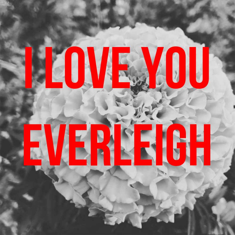 Greetings card с именем, Everleigh I love you подпись Greetings with text for free download 
