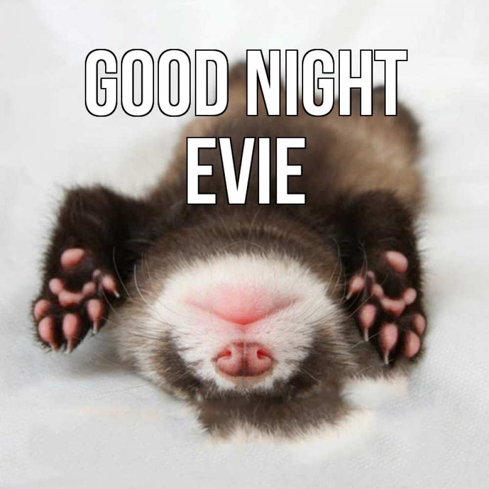 Greetings card с именем, Evie Good night зверек Greetings with text for free download 