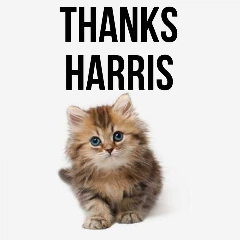 Greetings card с именем, Harris Thanks пушистый котик Greetings with text for free download 