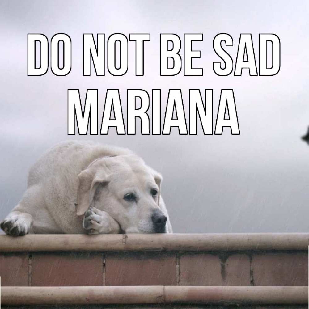 Greetings card с именем, Mariana Do not be sad белый пес 1 Greetings with text for free download 
