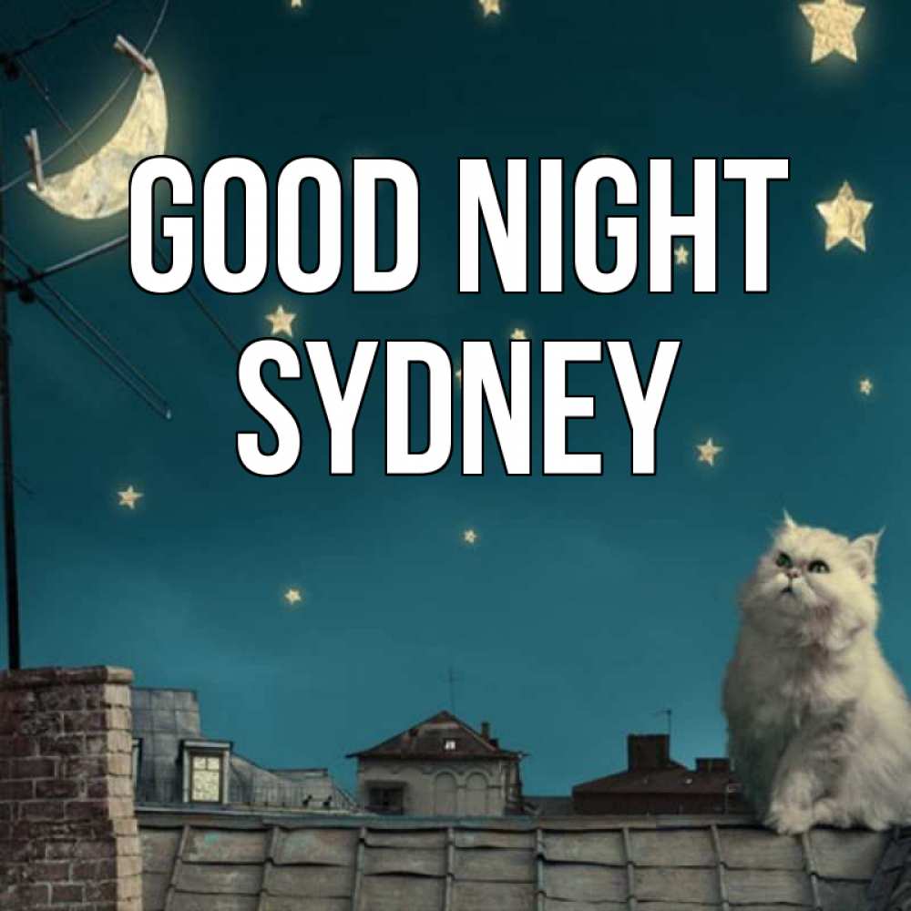 Greetings card с именем, Sydney Good night белый кот сидит на крыше Greetings with text for free download 