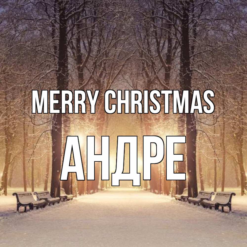 Greetings card с именем, Андре Merry Christmas зима, парк, фонарь, лес Greetings with text for free download 