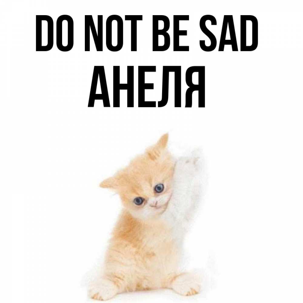 Greetings card с именем, Анеля Do not be sad просящий кот Greetings with text for free download 