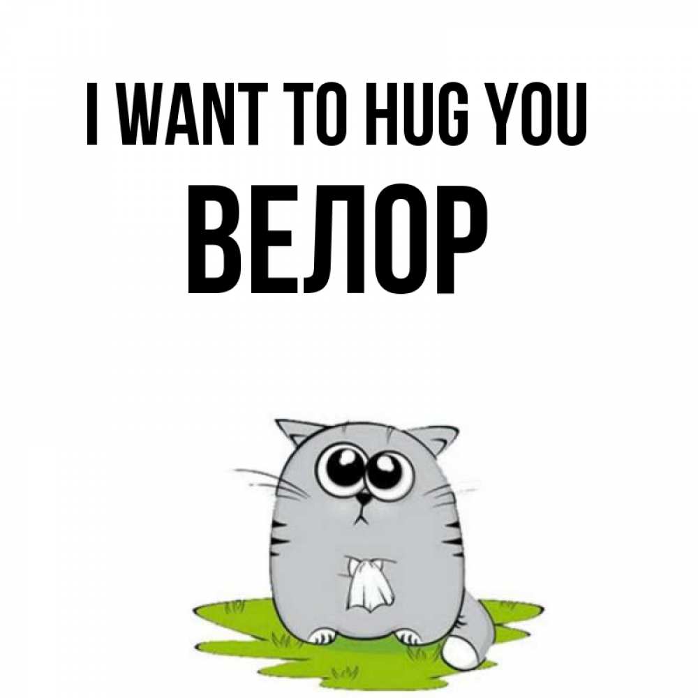Greetings card с именем, Велор I want to hug you котик теребит платочек сидя на травке Greetings with text for free download 