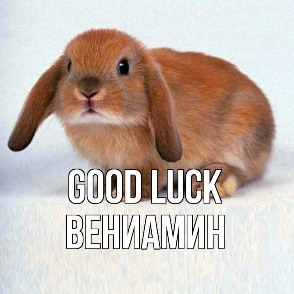 Greetings card с именем, Вениамин Good luck вставить текст в открытку по выбору Greetings with text for free download 