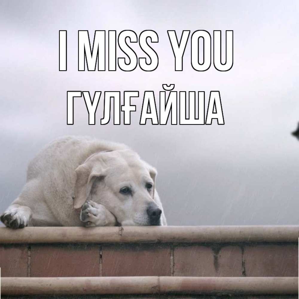 Greetings card с именем, ГҮЛҒАЙША I miss you ждет Greetings with text for free download 