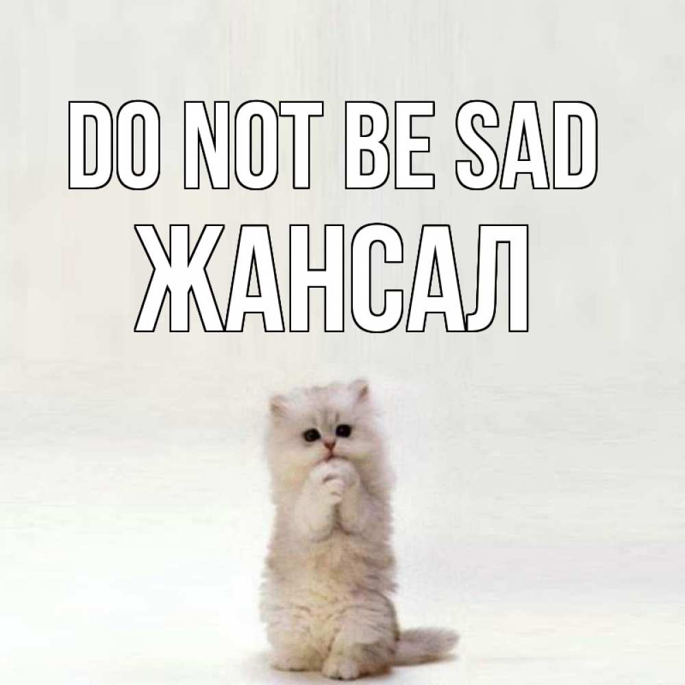Greetings card с именем, Жансал Do not be sad грустный кот Greetings with text for free download 
