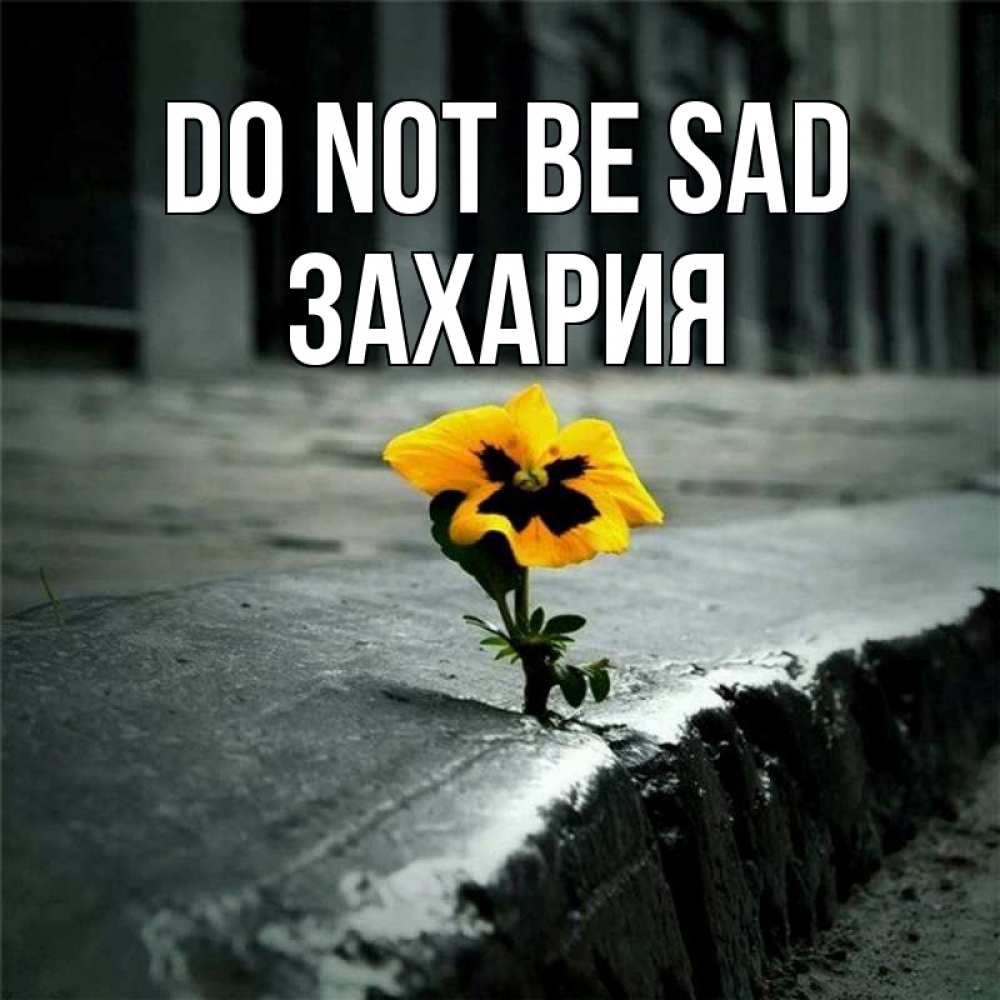 Greetings card с именем, Захария Do not be sad не сдавайся Greetings with text for free download 