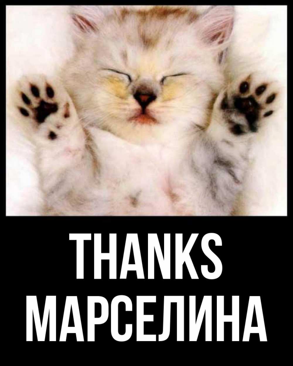 Greetings card с именем, Марселина Thanks маленький котенок Greetings with text for free download 