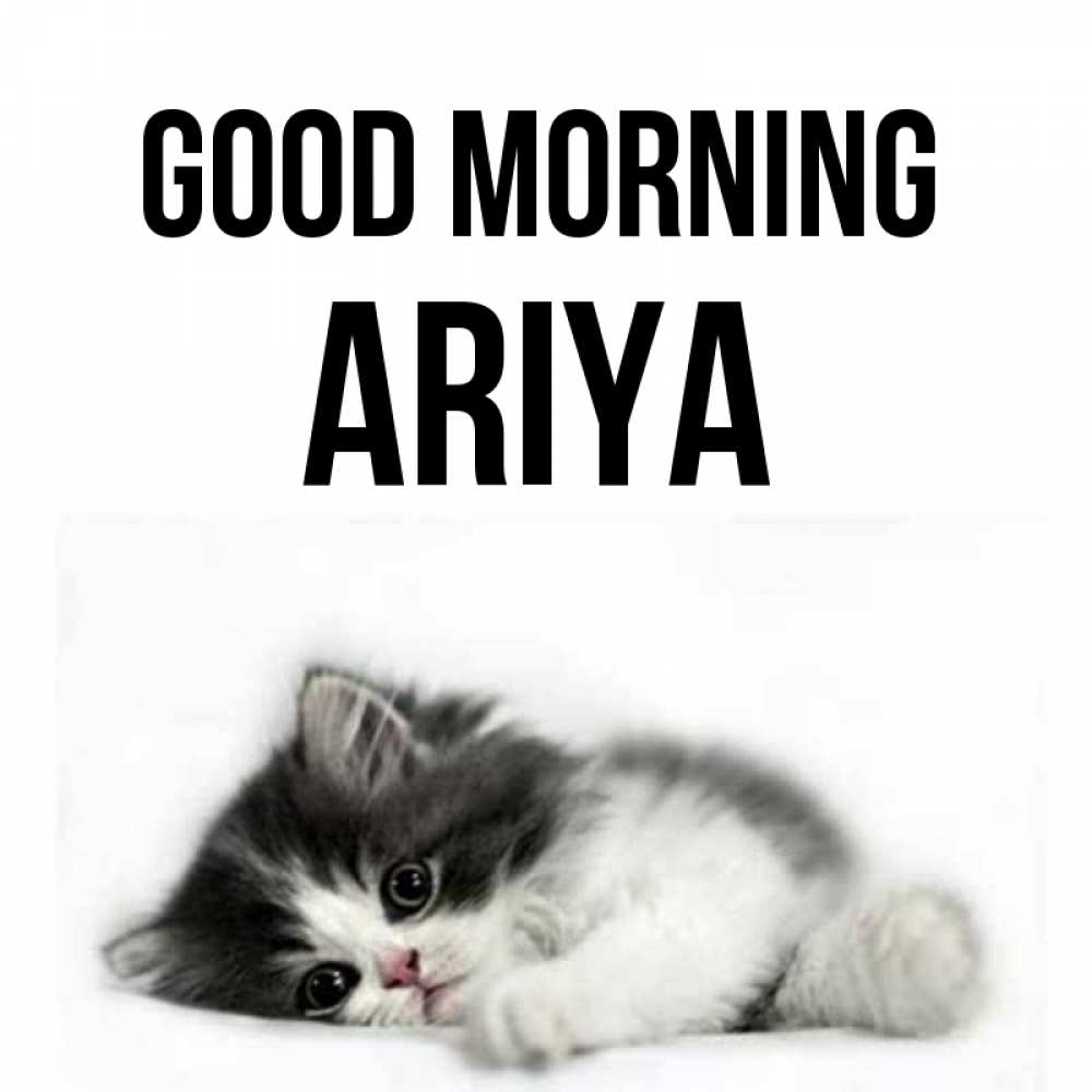 Greetings card с именем, Ariya Good morning кот лапки Greetings with text for free download 
