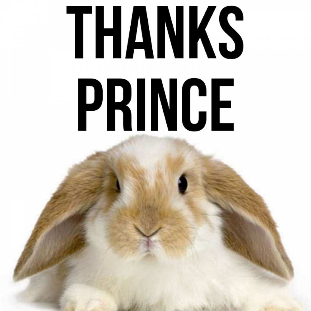 Greetings card с именем, Prince Thanks коричнево белый заяц Greetings with text for free download 
