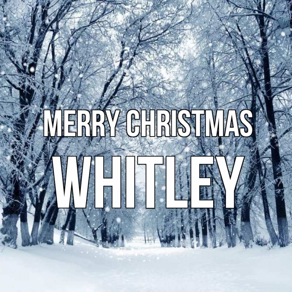 Greetings card с именем, Whitley Merry Christmas снег, лес, парк Greetings with text for free download 