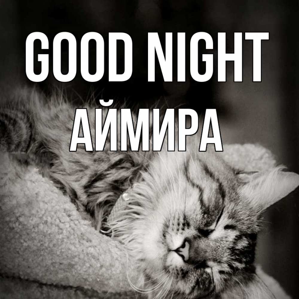 Greetings card с именем, АЙМИРА Good night котярик пушистый Greetings with text for free download 