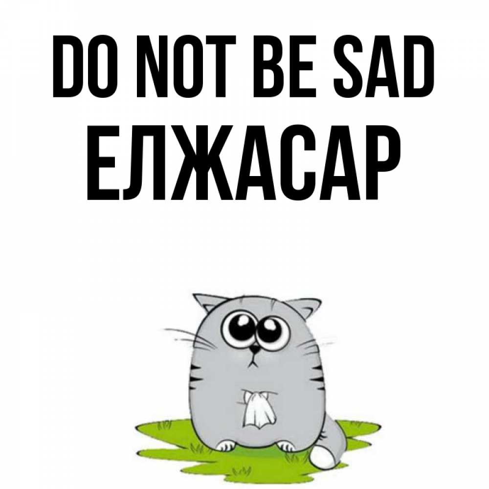 Greetings card с именем, Елжасар Do not be sad грустный котяра Greetings with text for free download 
