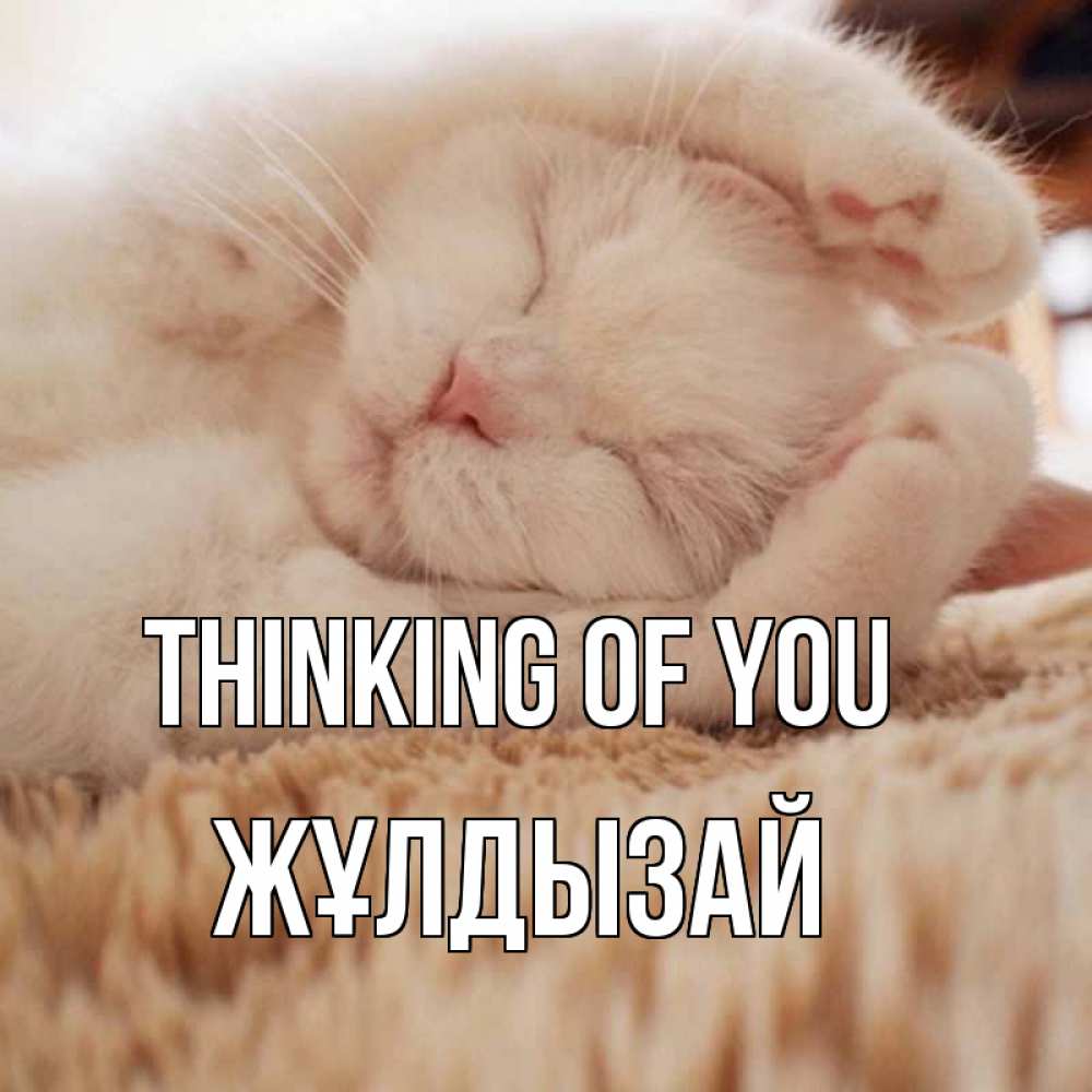Greetings card с именем, ЖҰЛДЫЗАЙ Thinking of you для любимой девушки милота Greetings with text for free download 