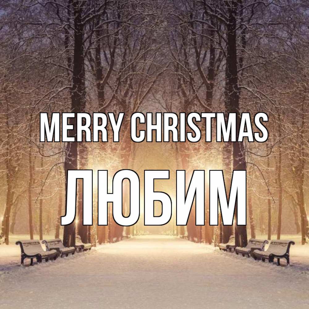 Greetings card с именем, Любим Merry Christmas зима, парк, фонарь, лес Greetings with text for free download 
