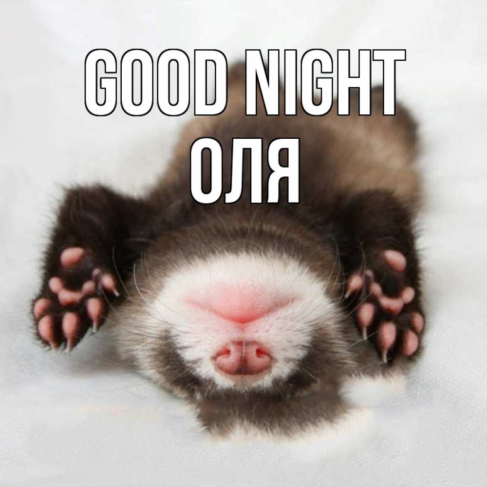 Greetings card с именем, Оля Good night зверек Greetings with text for free download 