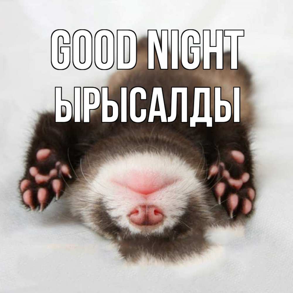 Greetings card с именем, ЫРЫСАЛДЫ Good night зверек Greetings with text for free download 