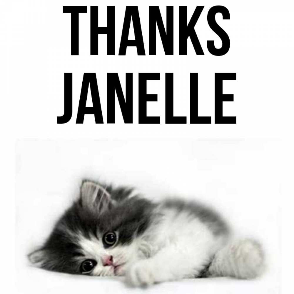 Greetings card с именем, Janelle Thanks черный и белый кот Greetings with text for free download 