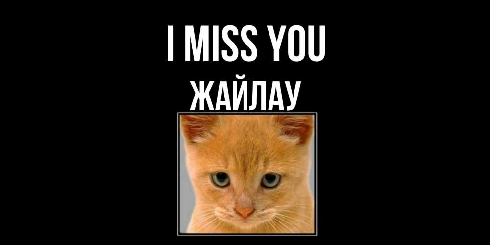Greetings card с именем, Жайлау I miss you открытки рыжий котенок скучает по тебе Greetings with text for free download 